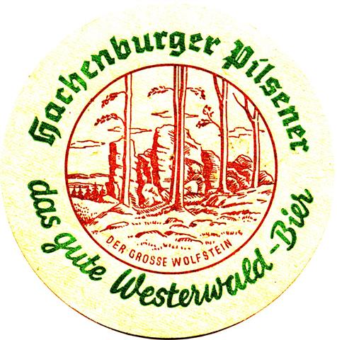 hachenburg ww-rp hachenburger pilsener 1a (rund215-der gro�e-braungr�n)